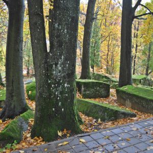 NEKROPOLA STEĆAKA "SJEČA - MRAMOROVI" (MEĐEĐA)