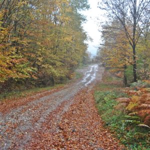 PLANINARSKE STAZE PALAVRE - ZOLJE - JAJIĆI