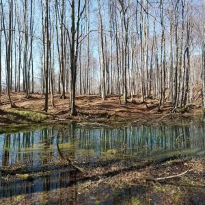 PLANINSKO JEZERO "ŽDRALOVO JEZERO"